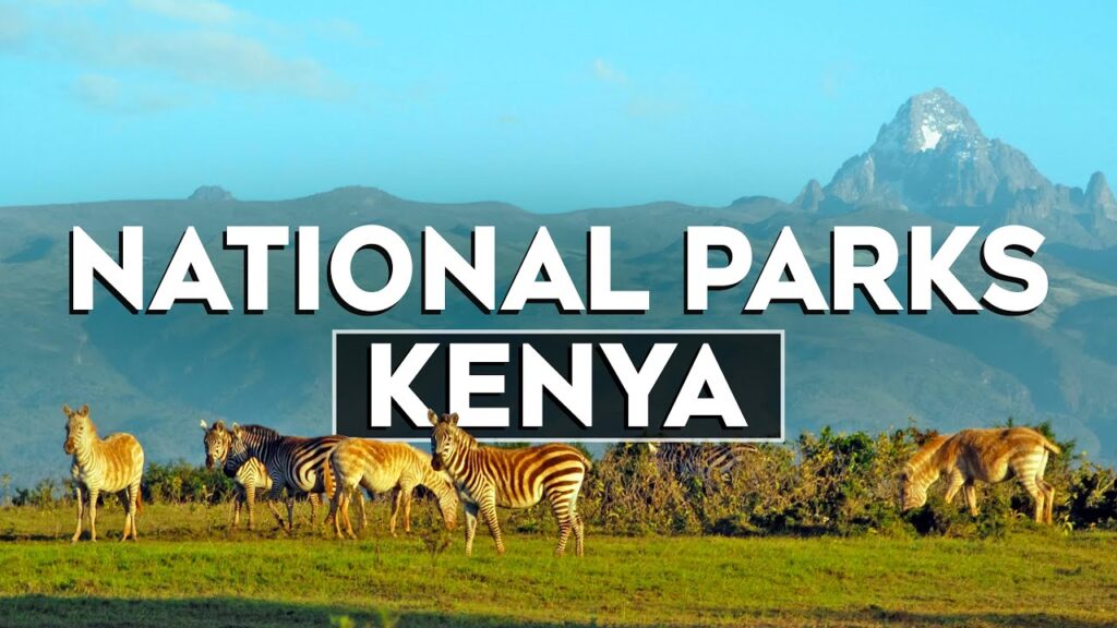 Eco-friendly Stays in Kenya’s National Parks