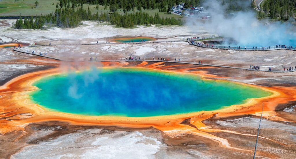 Do You Really Need a Tour Guide in Yellowstone? 5 Reasons It’s Worth It