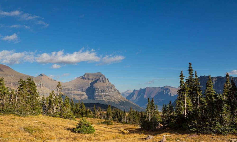 The Difference Between Basic Rentals and Adventure-Ready Vehicles in Bozeman